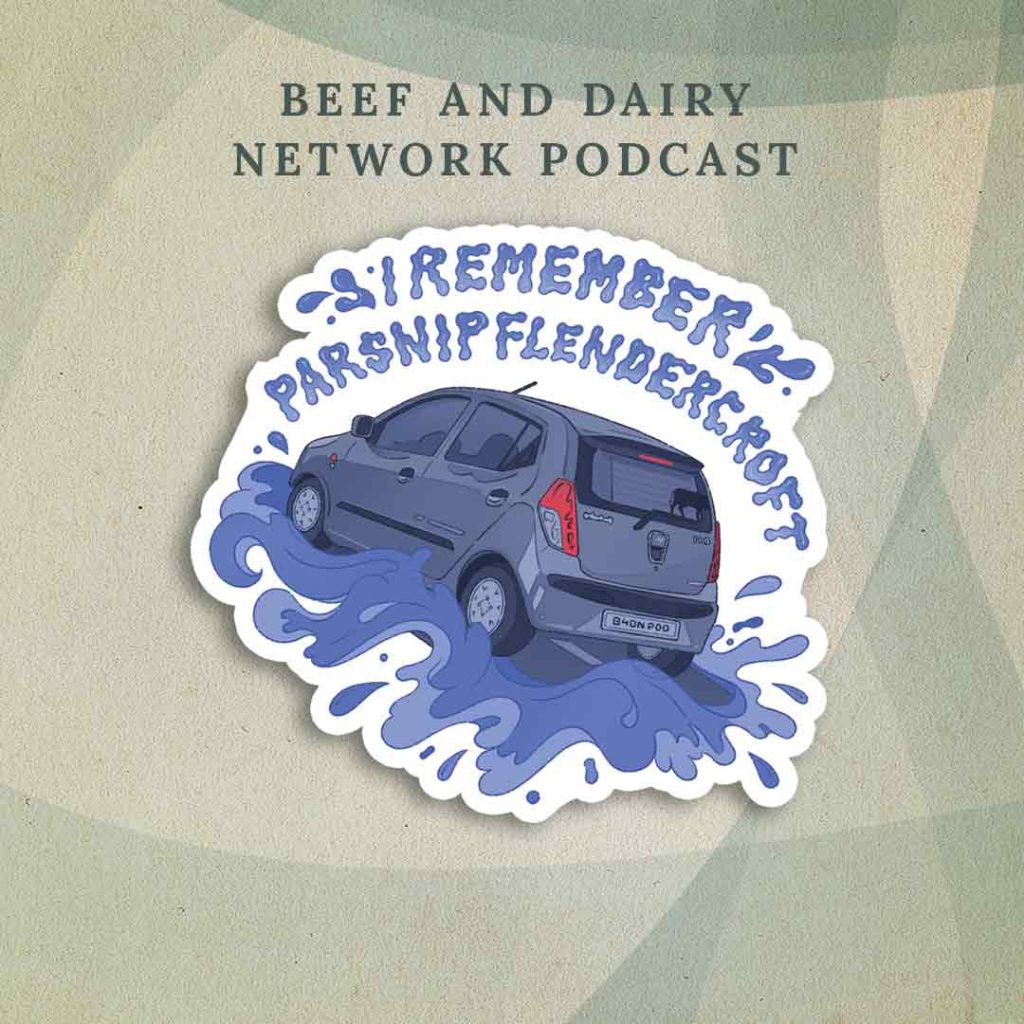 Beef and Dairy Network Podcast: A grey Hyundai i10 reversing into the sea with the text “I remember Parsnip Flendercroft”.
